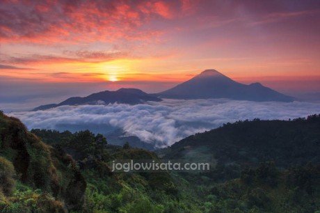 Paket Wisata Jogja Dieng Sikunir 2 Hari 1 Malam