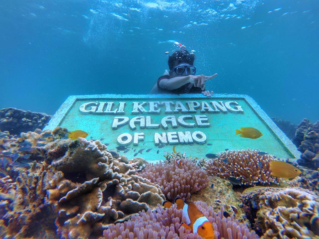 Paket Wisata Gili Ketapang Probolinggo | Joglo Wisata
