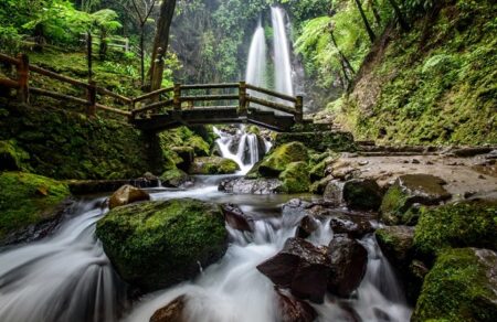 Air Terjun Grojogan Sewu