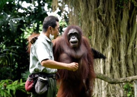 gembira loka zoo