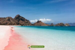 Labuan Bajo Tour Package 3 Days 2 Nights