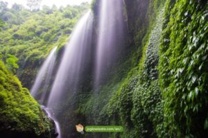 Bromo Madakaripura tour