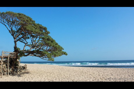 Pantai Pok Tunggal, Pantai Indah yang Tersembunyi