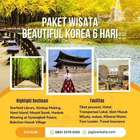 Paket Wisata Korea 6H5M (Winter)