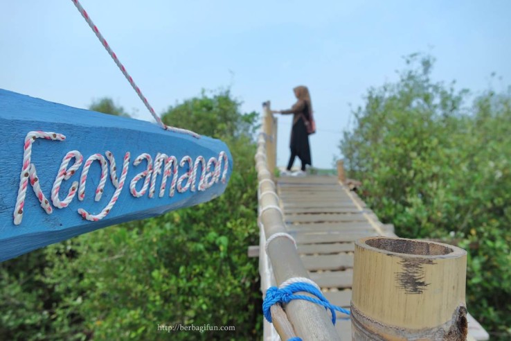 Huntan Mangrove Kulon Progo, Wisata Sekaligus Edukasi