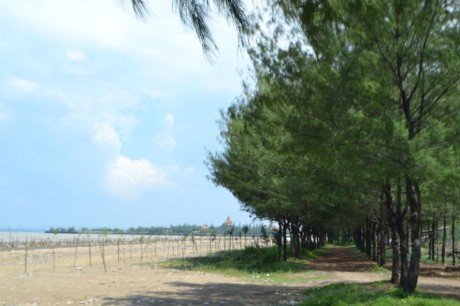 Pantai Goa Cemara, Seperti Berada di Dunia yang Berbeda