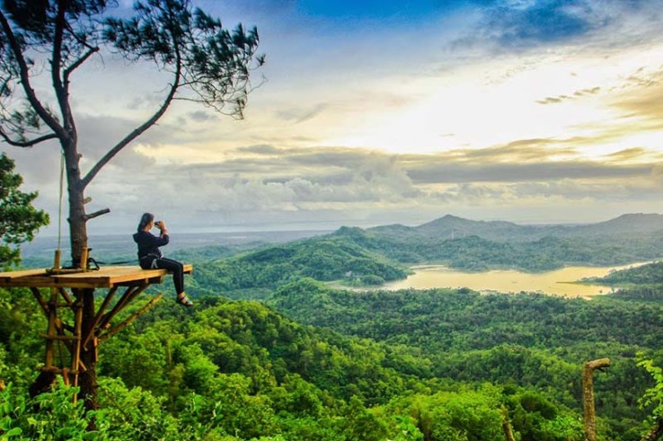 Paket Wisata Kalibiru Kulon Progo Jogja Joglo Wisata