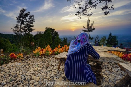 Wisata Alam Menarik di Bukit Lintang Sewu Yogyakarta