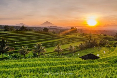 Paket Bulan Madu Bali 4 Hari 3 Malam