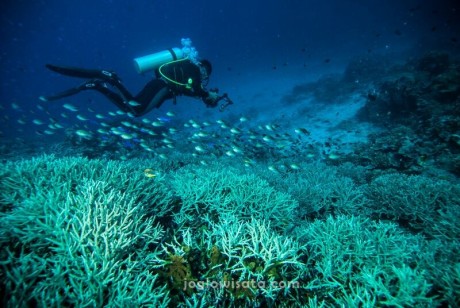 Paket Wisata Bunaken Manado 3 Hari 2 Malam