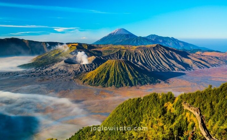 Paket Wisata Bromo Dari Surabaya Terbaru