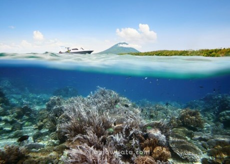 Paket Wisata Bunaken 4 Hari 3 Malam