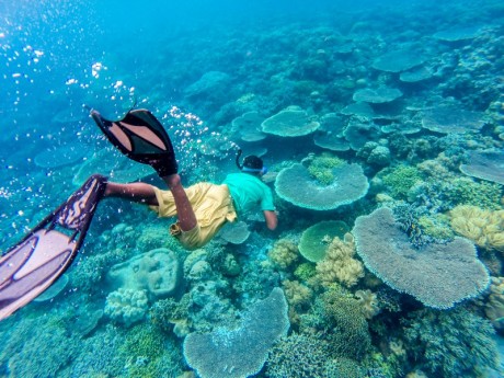 Paket Wisata Wakatobi 4 Hari 3 Malam