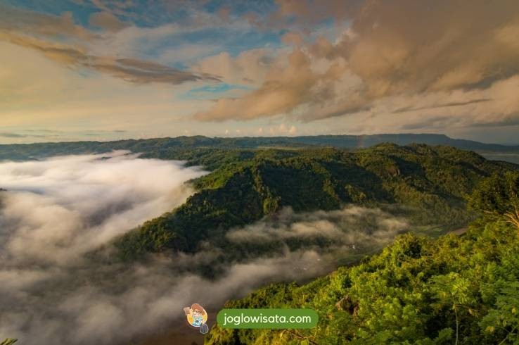 5 Fakta Kebun Buah Mangunan yang Perlu Kamu Ketahui Sebelum Datang