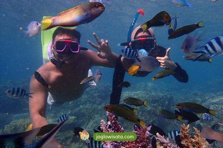 Tips Snorkeling di Karimunjawa Khusus untuk Pemula