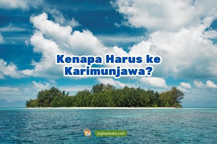 5 Alasan Wisata Karimunjawa Wajib Masuk Bucket List Kamu