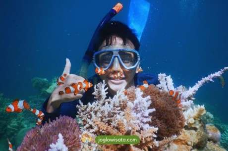 Menawan! 3 Spot Snorkeling Karimunjawa ini Istimewa