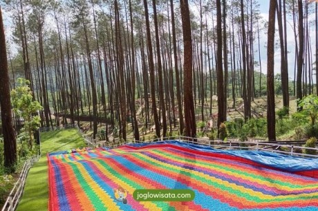 5 Wisata Baru di Jogja 2025 yang Wajib Kamu Kunjungi