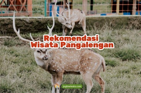 5 Wisata Pangalengan Buat Kamu yang Hobi Adventure