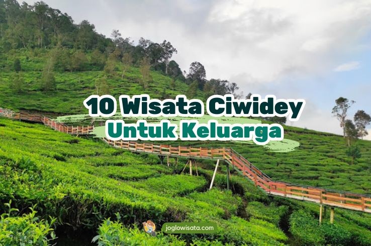 10 Wisata Ciwidey untuk Keluarga yang Bikin Happy dan Seru