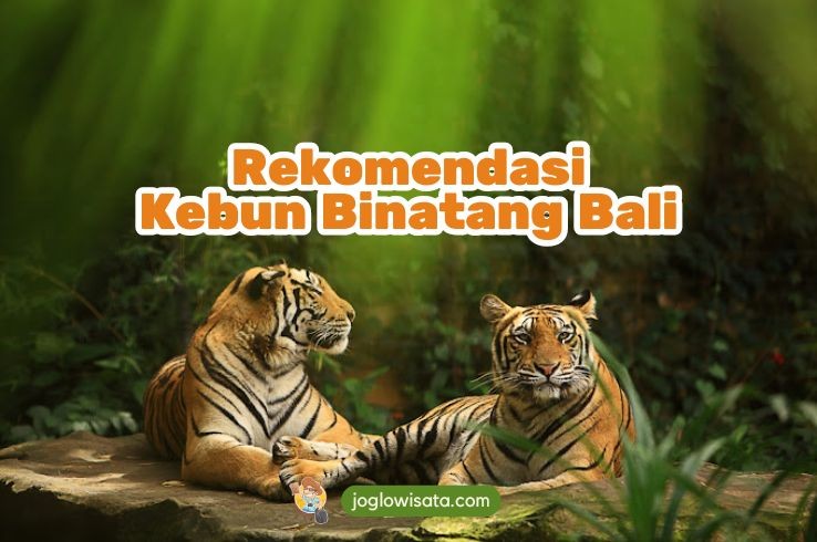 Mau Liburan Seru? Kebun Binatang di Bali Ini Wajib Kamu Explore