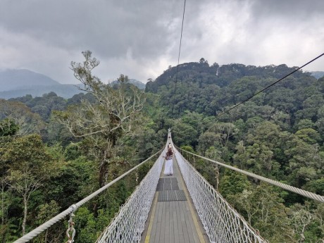 Rengganis Suspension Bridge Ciwidey: Harga Tiket, Jam Buka, Rute & Ulasan
