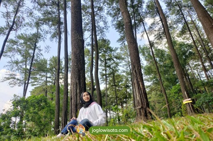 Rekomendasi Wisata Jepara Selain Pantai