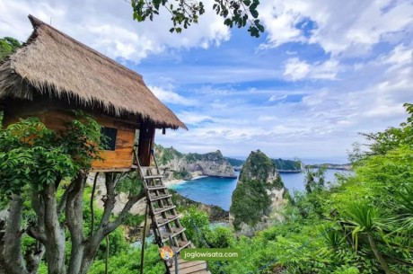 Rumah Pohon Nusa Penida, Destinasi Cantik yang Populer