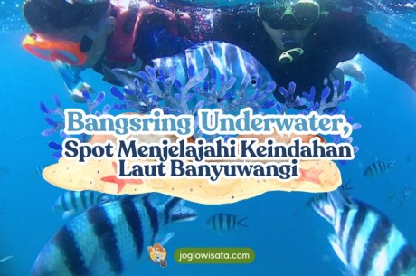 Bangsring Underwater, Menjelajah Keindahan Laut Banyuwangi