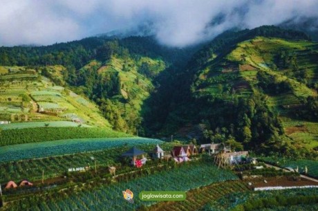 Mangli Sky View: Keunikan, Fasilitas, dan Harga Tiketnya