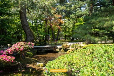 Tempat Wisata di Jepang Saat Musim Semi