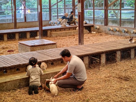 Kuntum Farmfield dan Nurseries Bogor, Destinasi Wisata Edukasi Yang Cocok Buat Liburan Keluarga