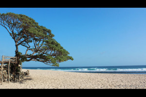 Pantai Pok Tunggal Gunung Kidul