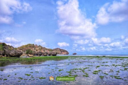 Pantai Drini Gunungkidul – Pantai Indah Yang Masih Alami