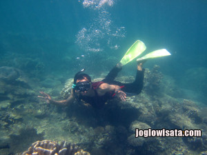 Paket Wisata Karimunjawa Dari Jogja, Solo, Semarang