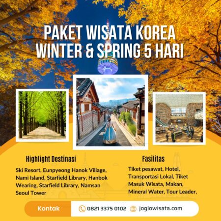 Paket Wisata Korea 5 Hari