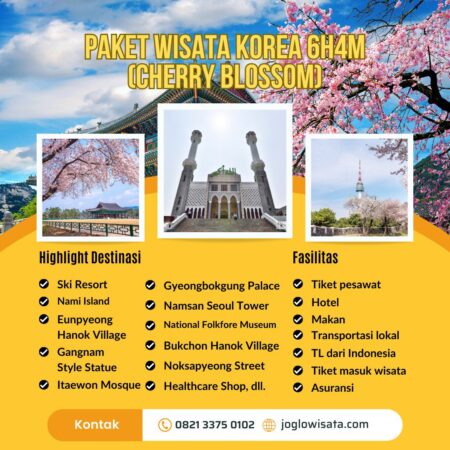 Paket Wisata Korea 6 Hari 4 Malam (Cherry Blossom)