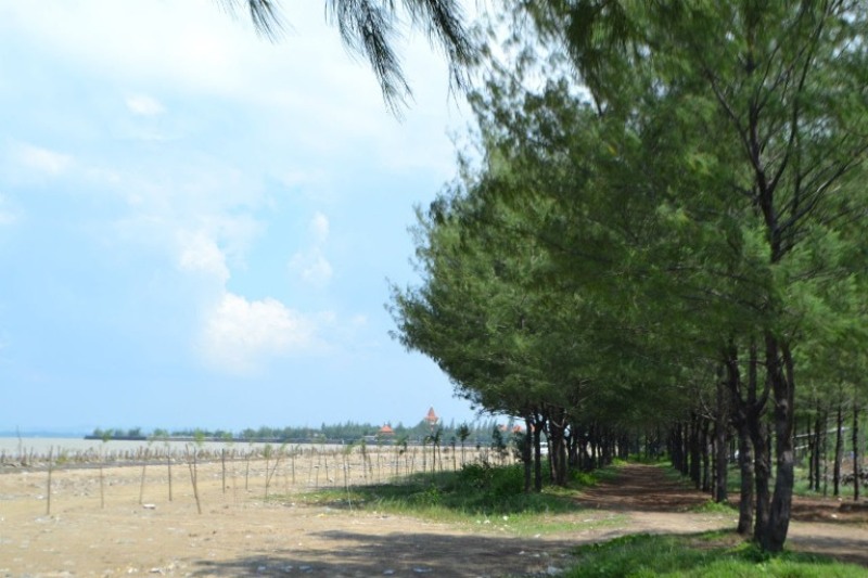 Pantai Goa Cemara, Seperti Berada di Dunia yang Berbeda 