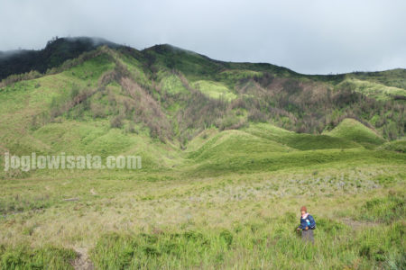 paket wisata jogja bromo malang