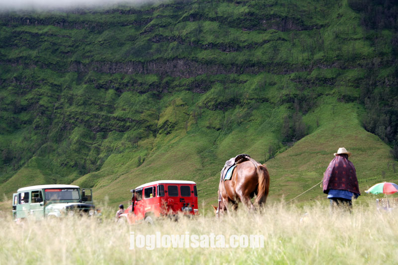 Paket Wisata Gunung Bromo Dari Jogja Joglo Wisata