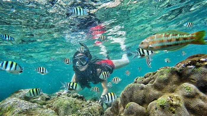 Bagi Penggemar Snorkeling Yuk Ke Pantai Nglambor Jogja 