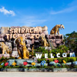 Sriracha Tiger Zoo