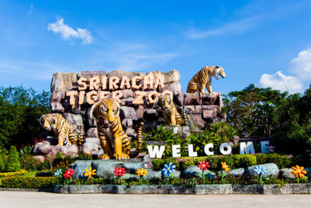 Sriracha Tiger Zoo