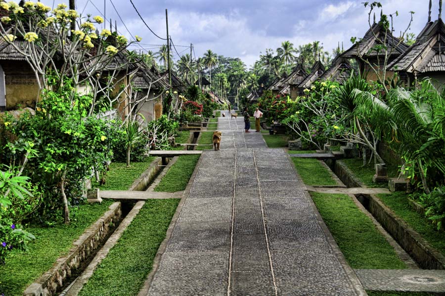 Paket Wisata Desa Penglipuran Bali | Joglo Wisata