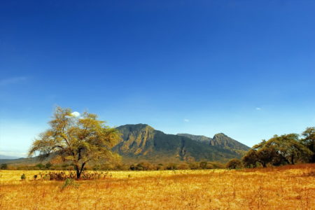 Taman Nasional Baluran