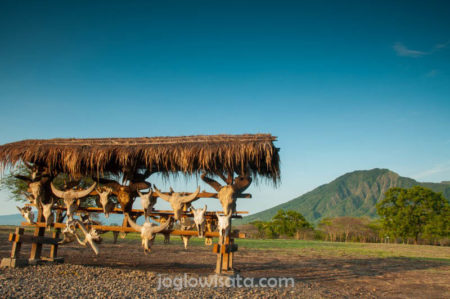 Banyuwangi - Taman Nasional Baluran