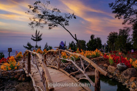 Lintang Sewa Bantul Jogja