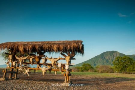 Taman Nasional Baluran