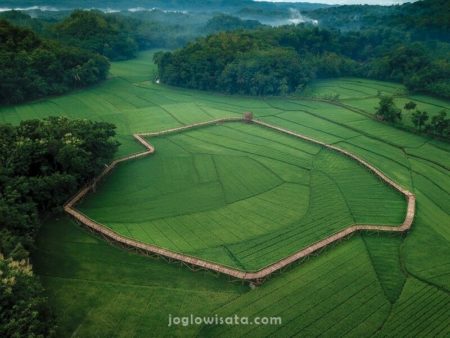 Sawah Sukorame Dlingo Bantul Jogja