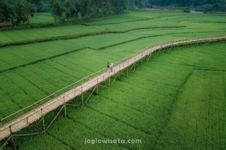 Sawah Sukorame Dlingo Bantul Yogyakarta